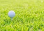 Golf: EPGA Legend Tour (Hoogtepunten)
