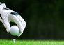 Golf: PGA Tour Champions
