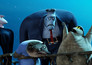 Hotel Transylvania 2