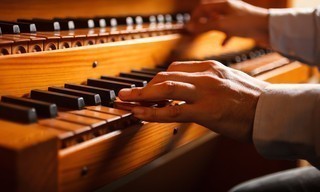 In the Organ's Stomach
