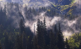 Into the Carpathian wild