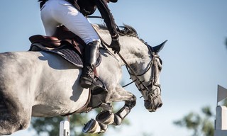 Jumping international de Dinard