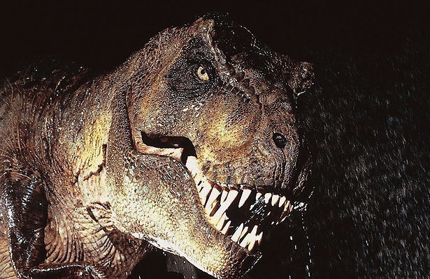 Rex