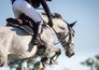 Jumping international de Dinard