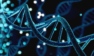 Le court du jour: Femmes de science