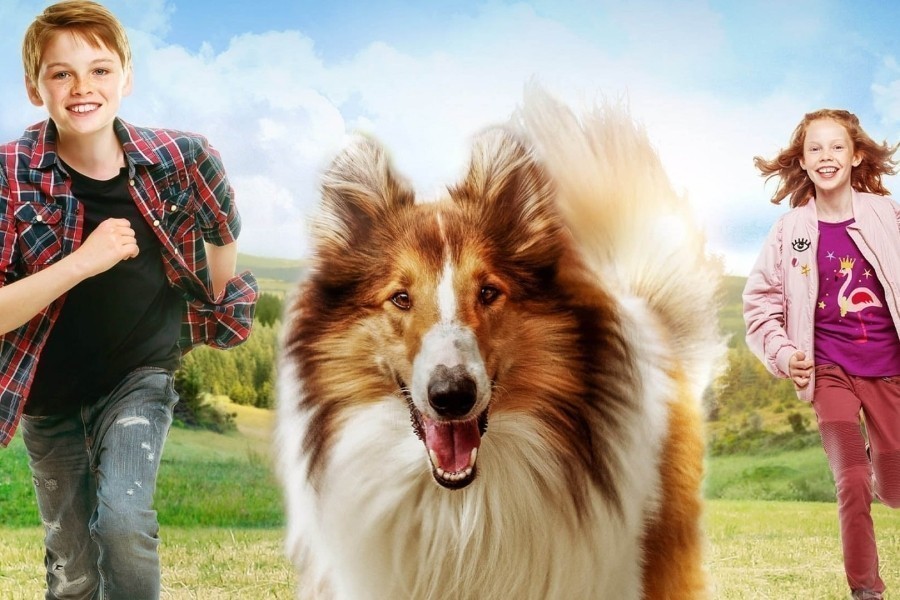 Lassie (NL)