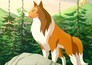 Lassie