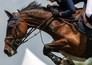 Longines FEI World Cup Jumping North American League