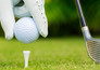 LPGA Tour: Lotte Championship