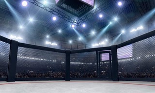 MMA: Oktagon 94 in Frankfurt