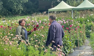 Monty Don's British gardens