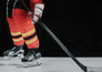 NHL on the fly