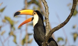 Paraguays unbekannte Schätze