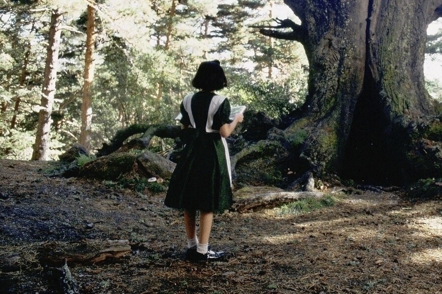 Pan's Labyrinth