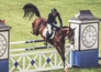 Paardensport: Global Champions Tour Caïro