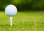 Golf: Irish Open