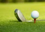 PGA Tour: The Cut