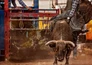 Pro Bull Riders