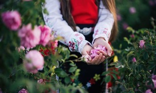 Re: Bulgariens Tal der Rosen in der Krise?