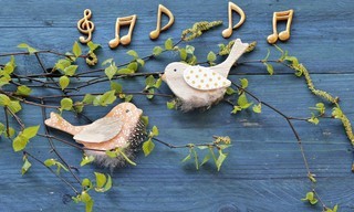 Rhythmus im Blut - Sind Tiere musikalisch?