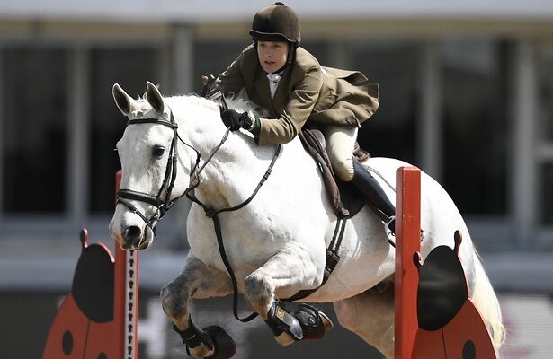 Paardensport: Royal Windsor Horse Show