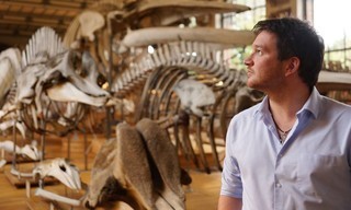 Secrets of bones