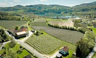 Seenland Österreich