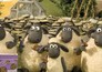 Shaun het schaap