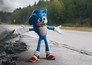 Sonic the Hedgehog