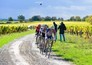 Sporza - Wielrennen: Parijs - Tours