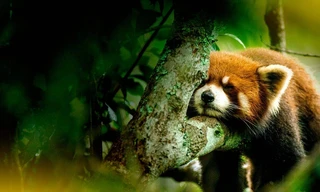 The hidden kingdoms of China: Compilation