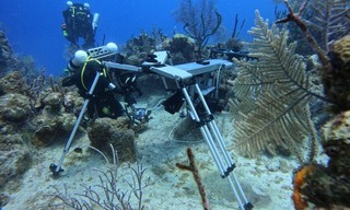 The making of Planet Earth III