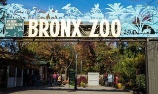 The zoo