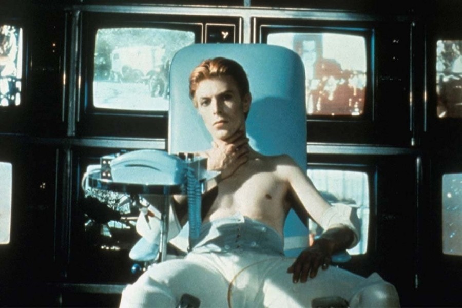 The Man Who Fell to Earth