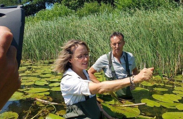 Vroege Vogels