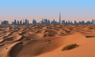 Wild Dubai