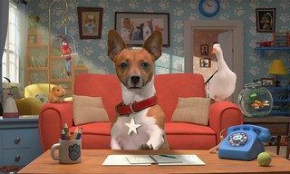Zotte dieren